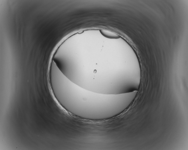 X0000086341536200704202051