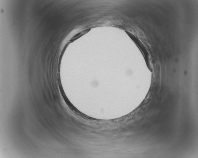 X0000086340003200704272019