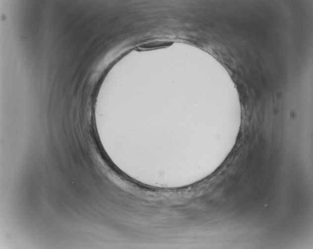 X0000086340005200704272018