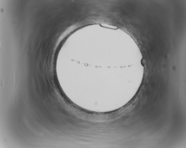 X0000086340008200704272018