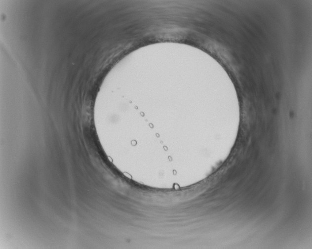 X0000086340017200704272018