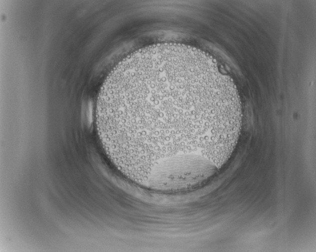X0000086340022200704272018