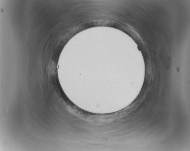 X0000086340025200704272018