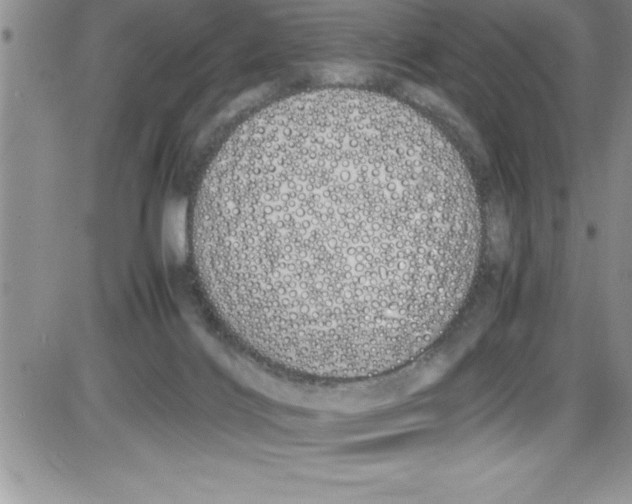 X0000086340028200704272018