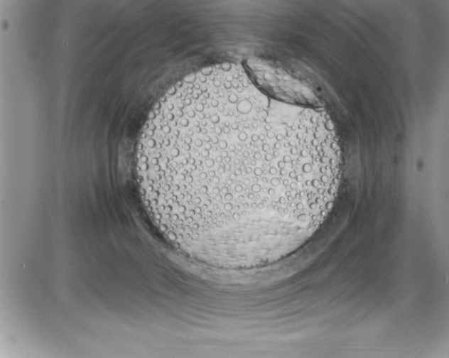X0000086340030200704272018