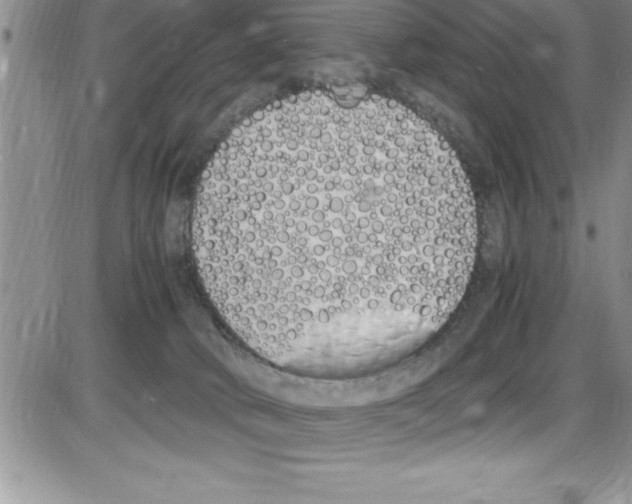 X0000086340034200704272018