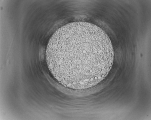 X0000086340038200704272018