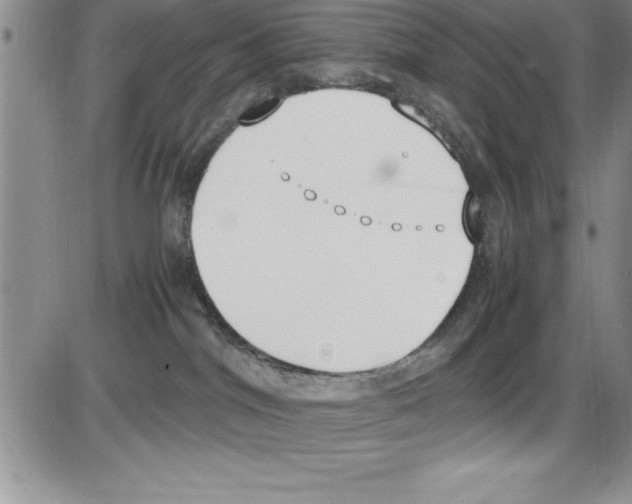 X0000086340044200704272018