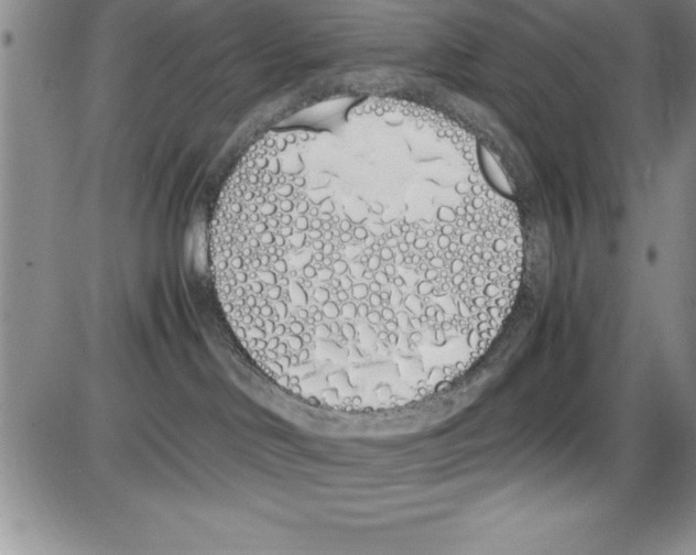 X0000086340046200704272018