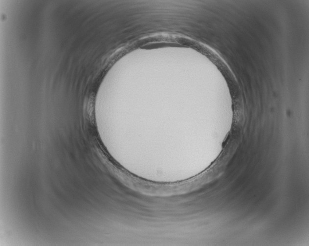 X0000086340047200704272018