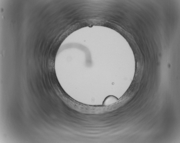 X0000086340048200704272018