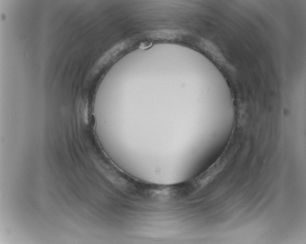 X0000086340068200704272017