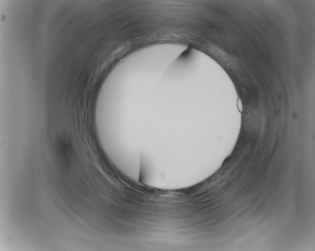 X0000086340072200704272017