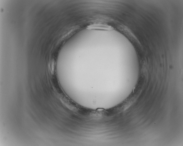 X0000086340076200704272017
