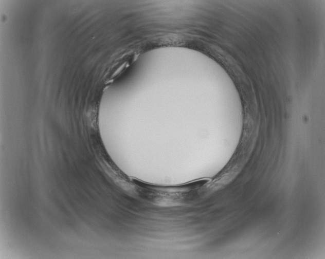 X0000086340096200704272018
