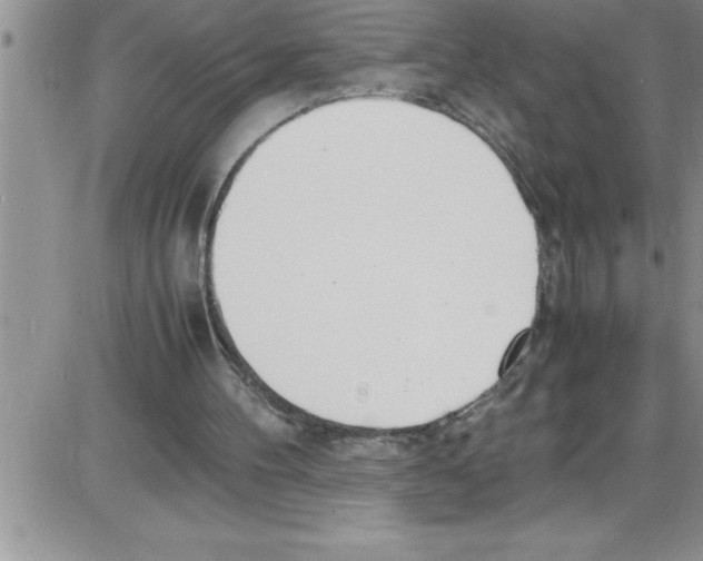 X0000086340100200704272017