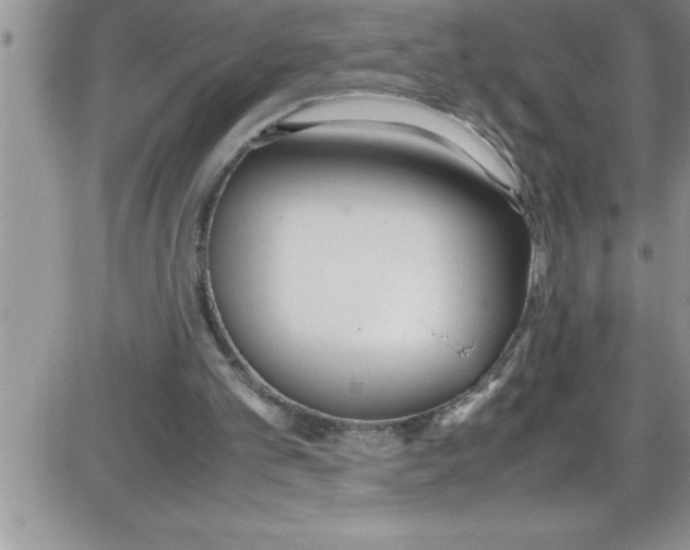 X0000086340101200704272017