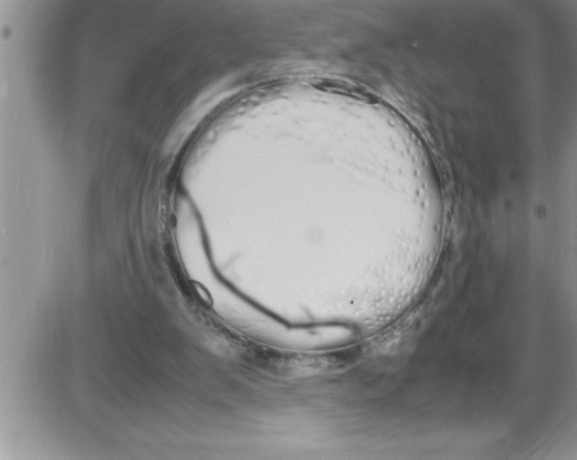 X0000086340103200704272017