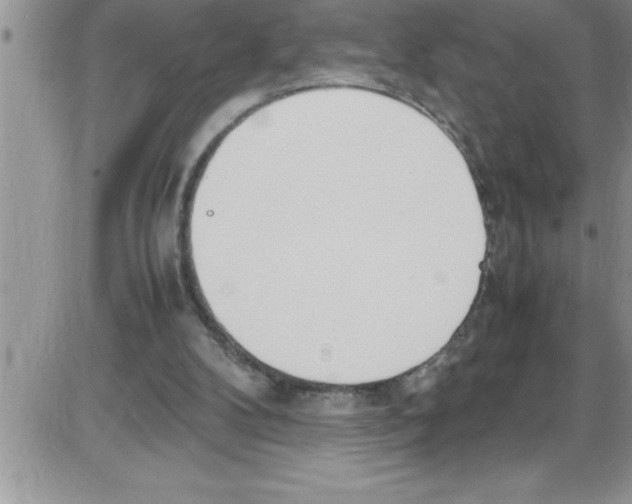 X0000086340104200704272017
