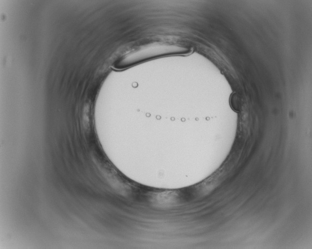 X0000086340122200704272017