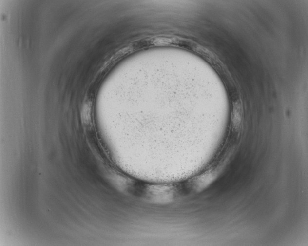 X0000086340139200704272016