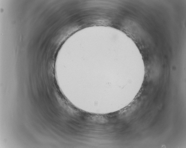 X0000086340146200704272015