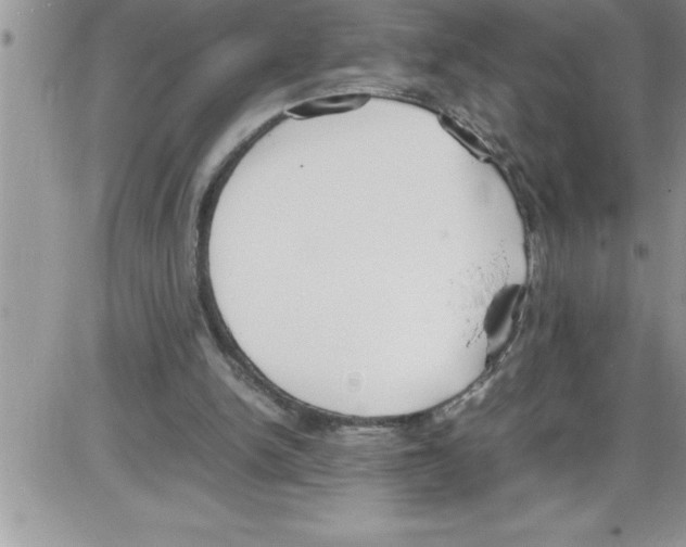 X0000086340150200704272016