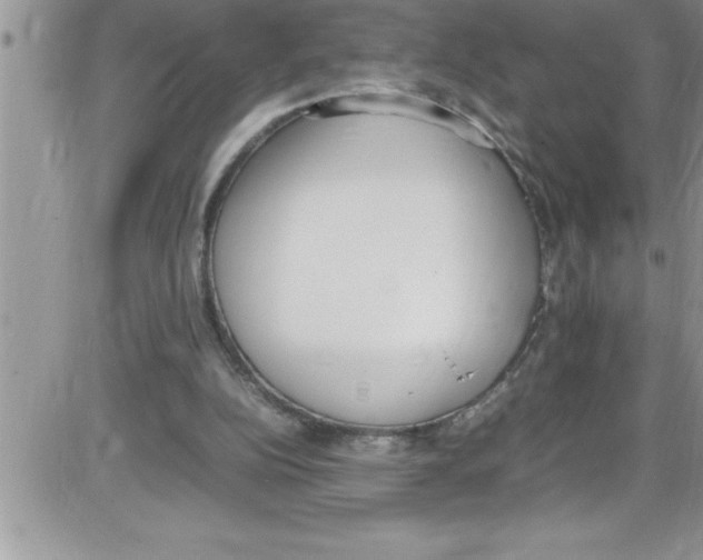 X0000086340152200704272016