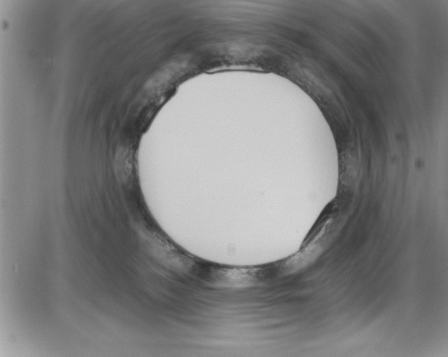 X0000086340184200704272016