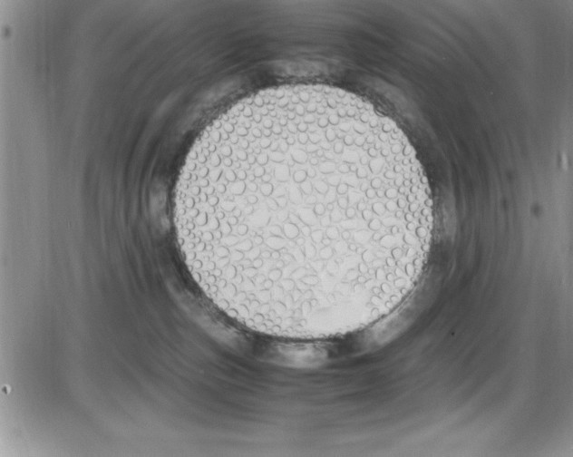 X0000086340187200704272016