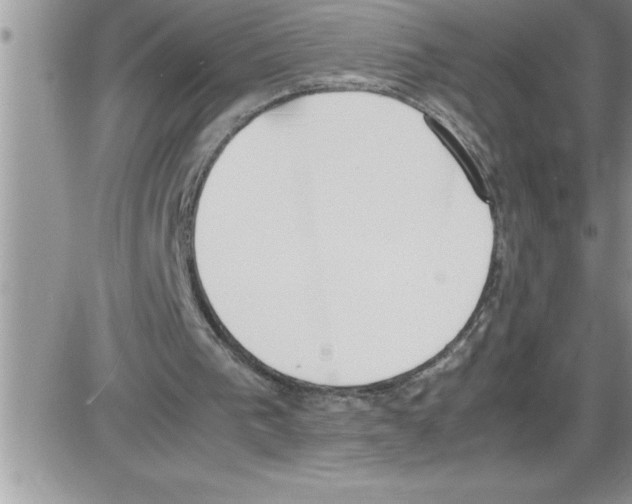 X0000086340193200704272015