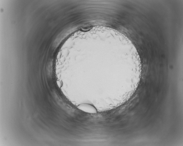 X0000086340194200704272015