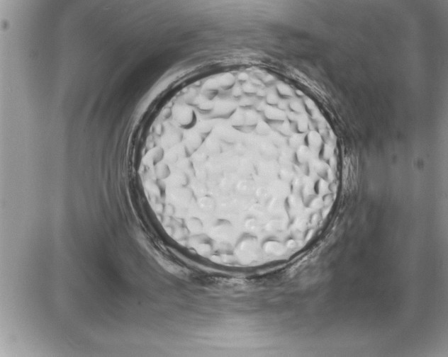 X0000086340195200704272015