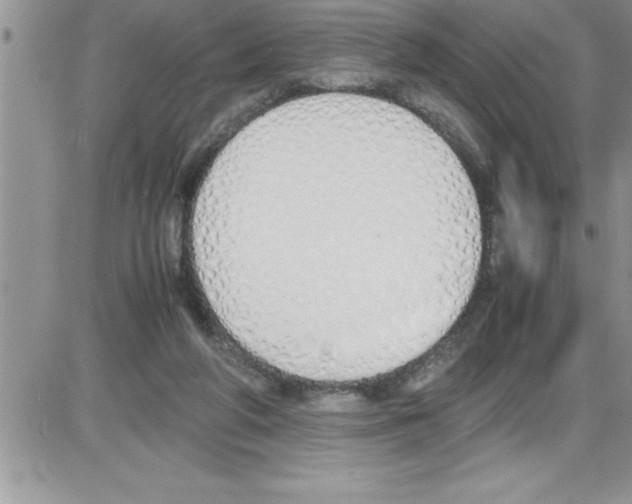 X0000086340210200704272015