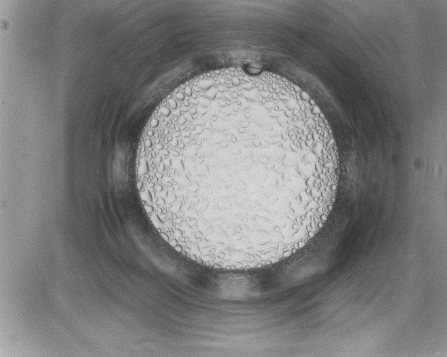 X0000086340218200704272015