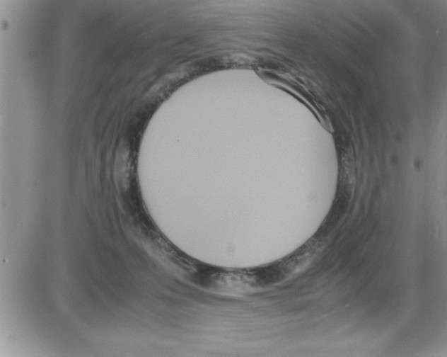 X0000086340223200704272015