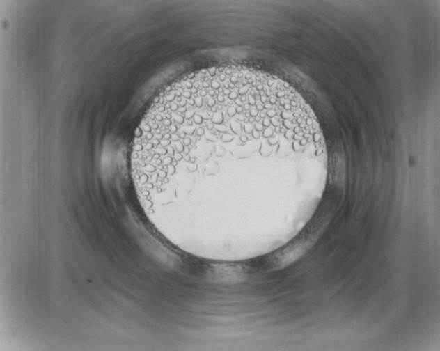 X0000086340238200704272015