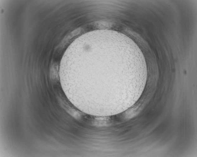 X0000086340240200704272015