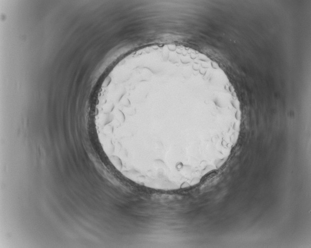 X0000086340242200704272014