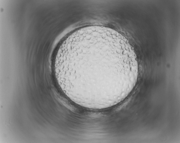 X0000086340246200704272014