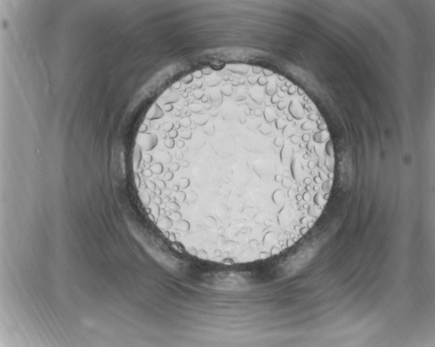X0000086340254200704272014