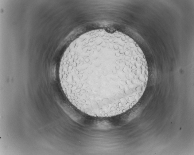 X0000086340262200704272014