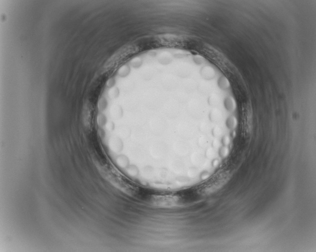 X0000086340266200704272014