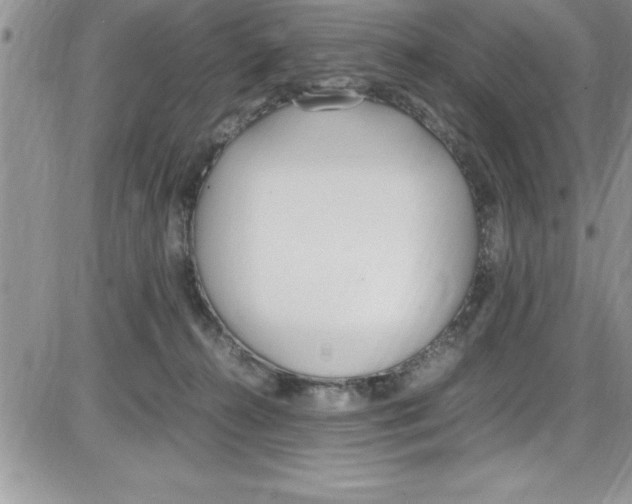 X0000086340272200704272014