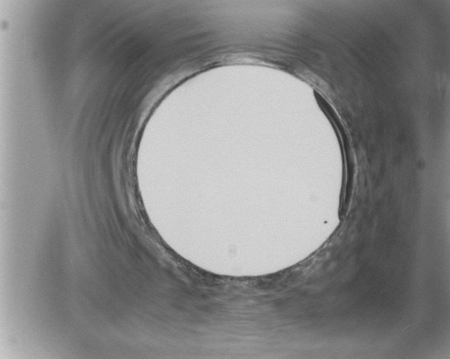 X0000086340289200704272014