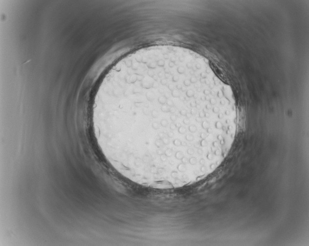 X0000086340291200704272014