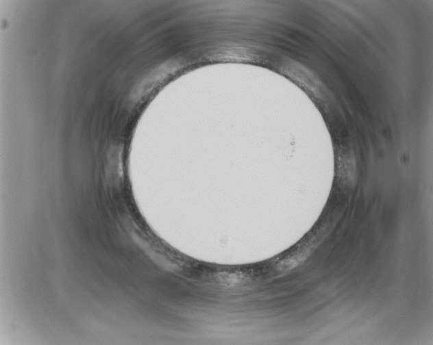 X0000086340302200704272014