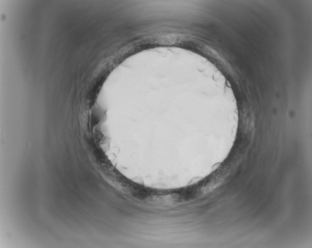 X0000086340307200704272014