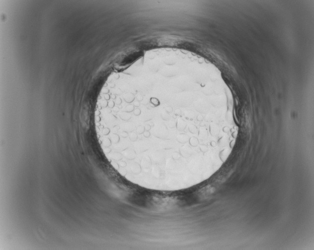 X0000086340311200704272014