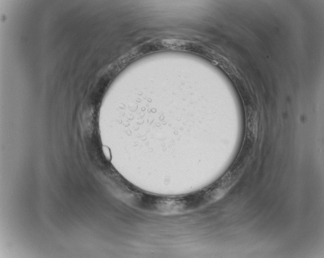 X0000086340319200704272013